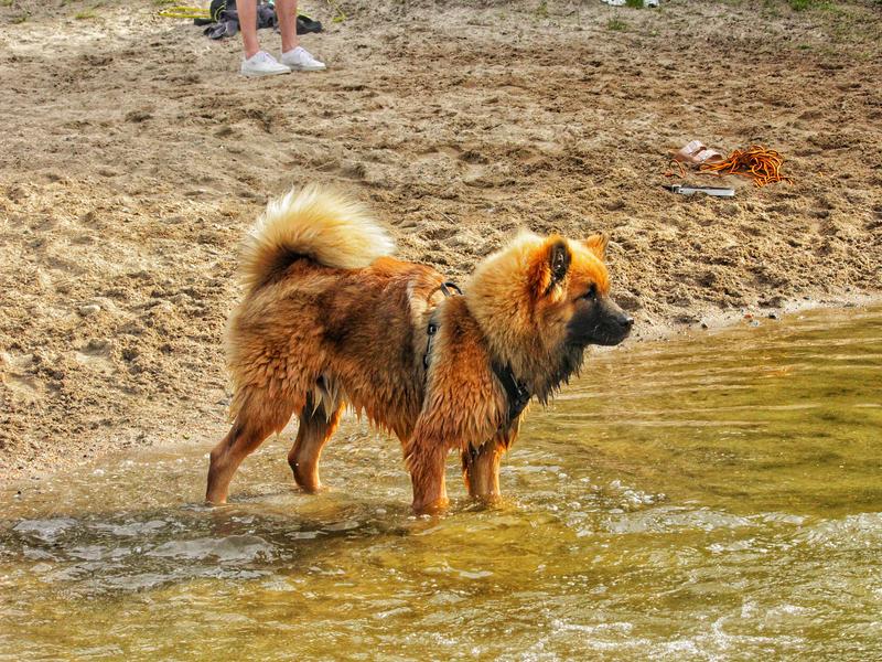 Siirry kuvagalleriaan